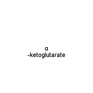 α -ketoglutarate